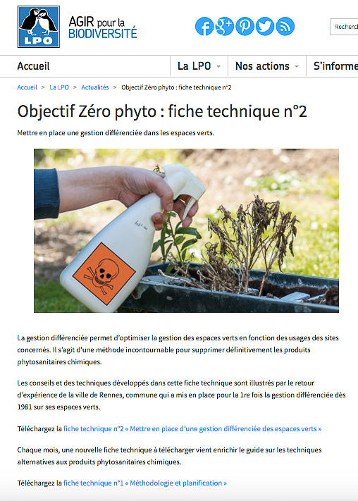 Lpo 2