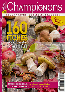Alpes Champignons