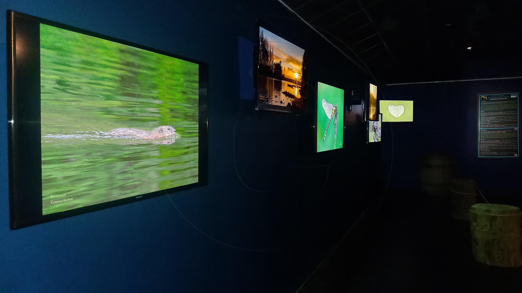 expo_grand_aquarium_de_touraine_facebook.jpg