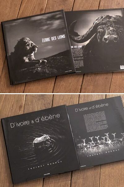 Tdl Ivoire