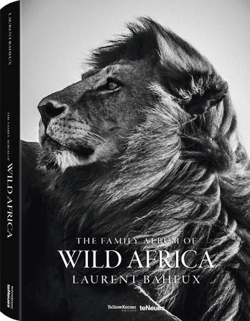 Wild Africa Small Edition