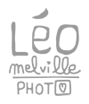 Logo Web Gris Transparent