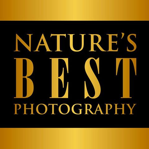 Nature S Best Photography