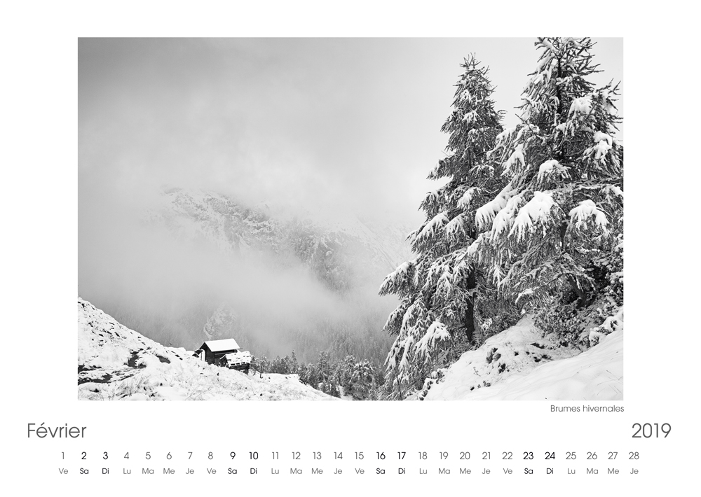 Calendrier 2019 Fevrier