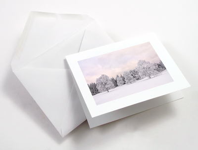 Carte De Voeux Enveloppe