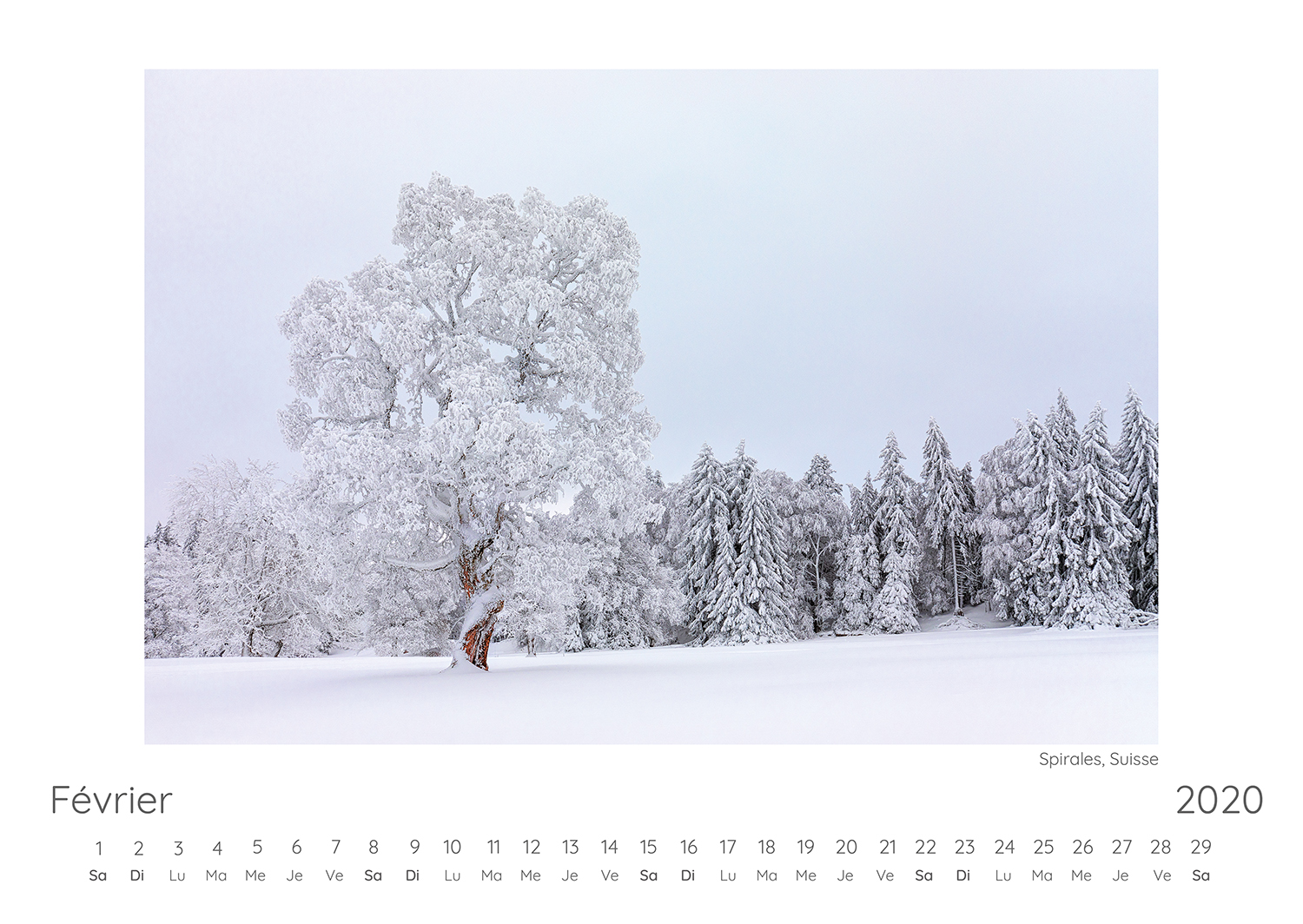 Calendrier Photo 2020 3