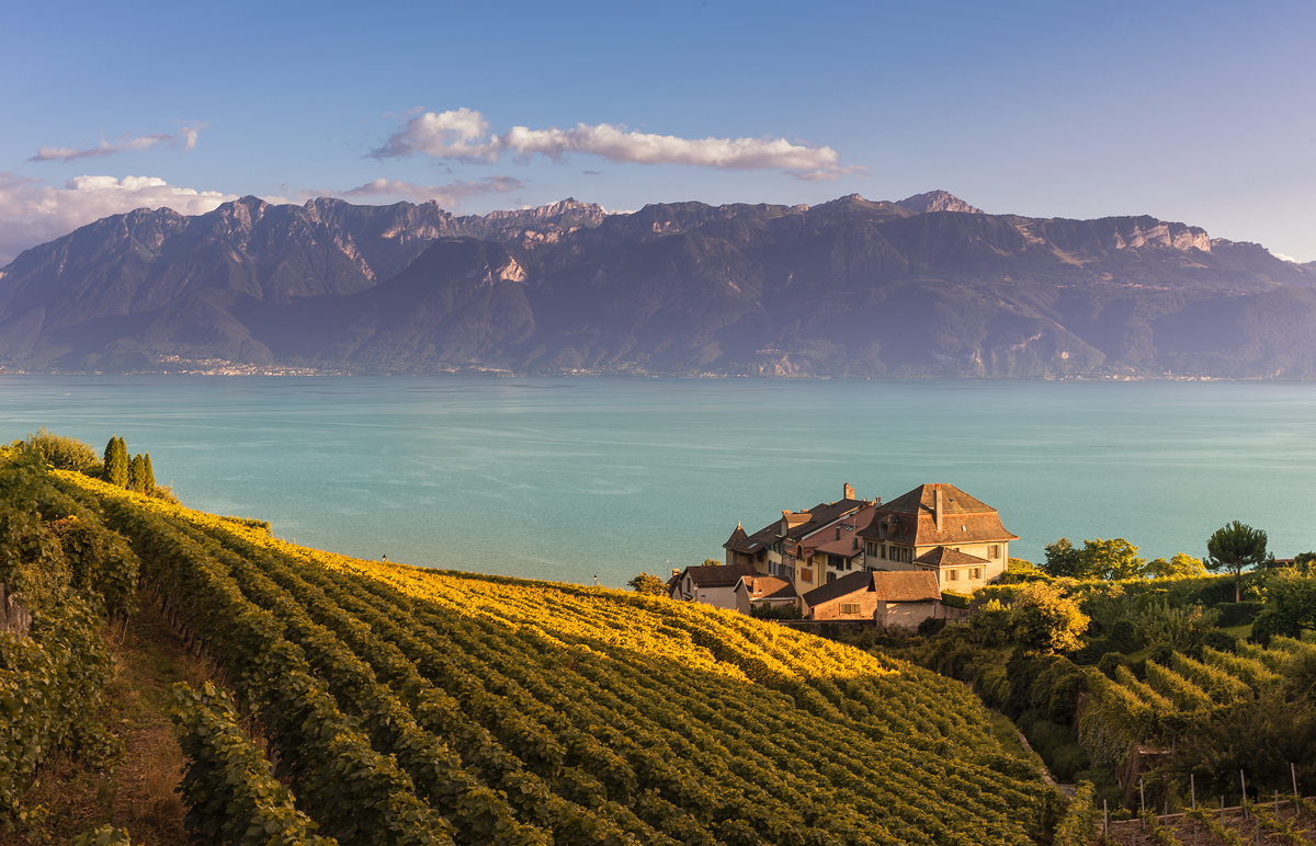 Workshop Lavaux Epesses