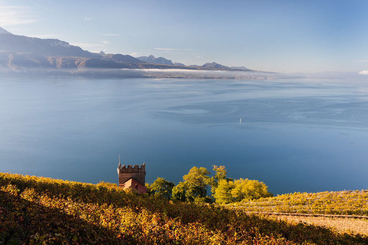 Workshop Lavaux Tour Marsens