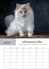 Decembre