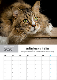 Septembre If