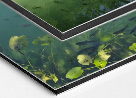 Photo Panneau Dibond