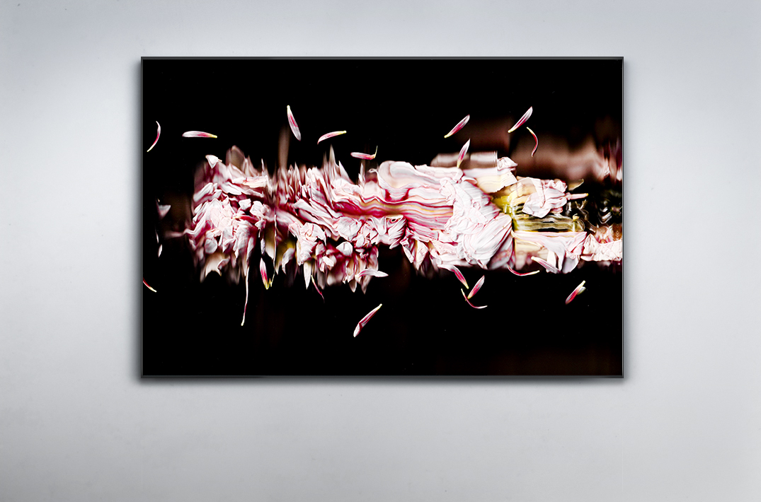 Ambiance Flowers Ballet