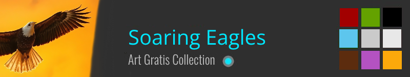 Collection Soaring Eagles
