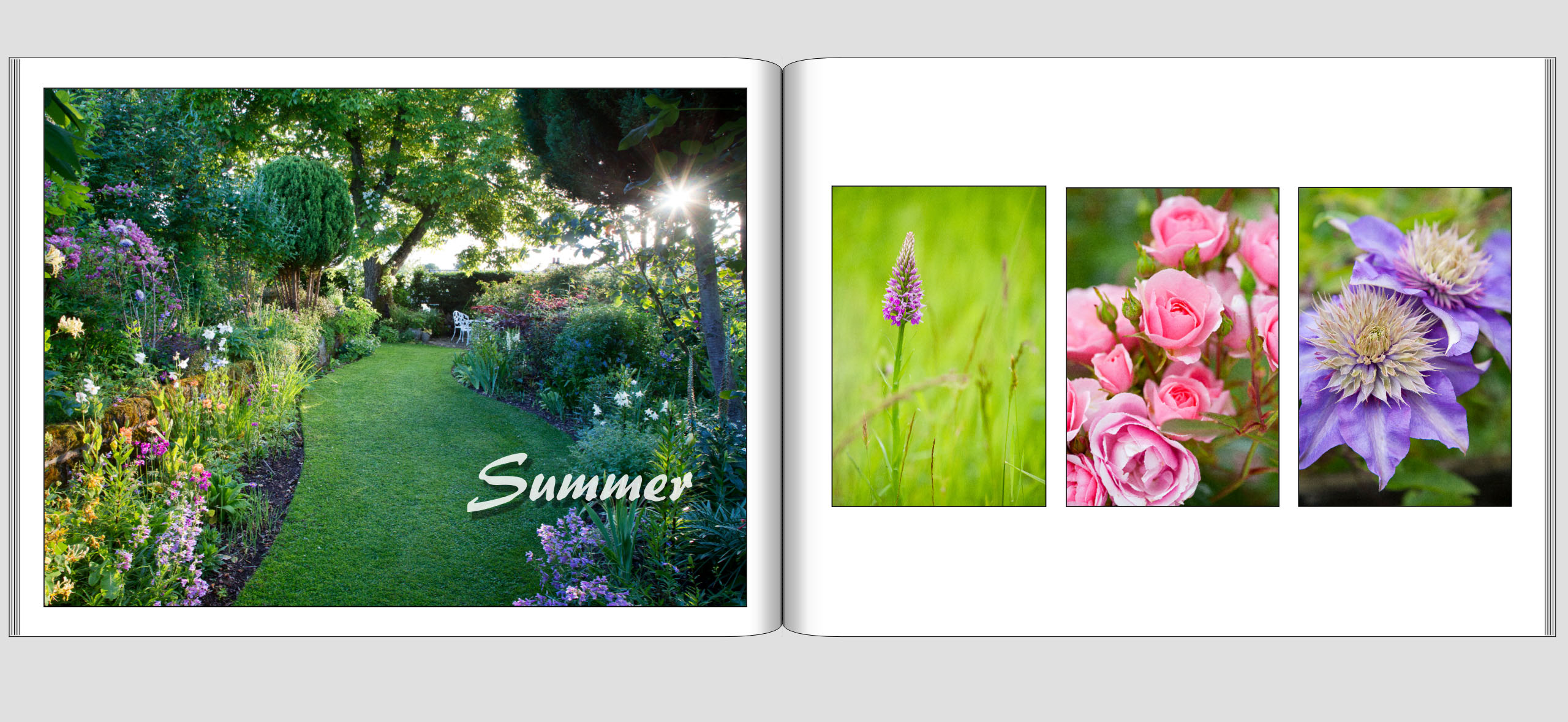 Leaves Lawns Sample Pages   Summer 1