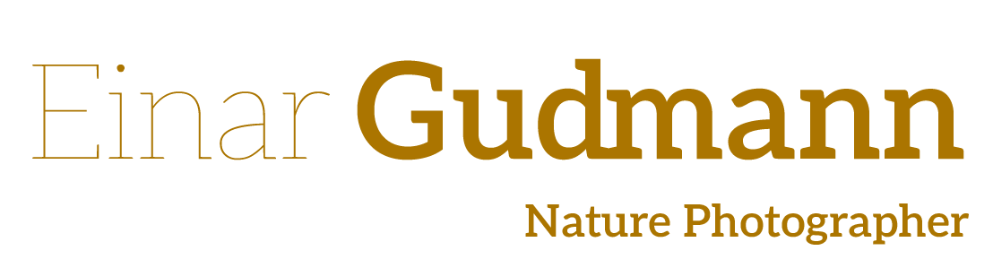 Logo Einar Gudmann