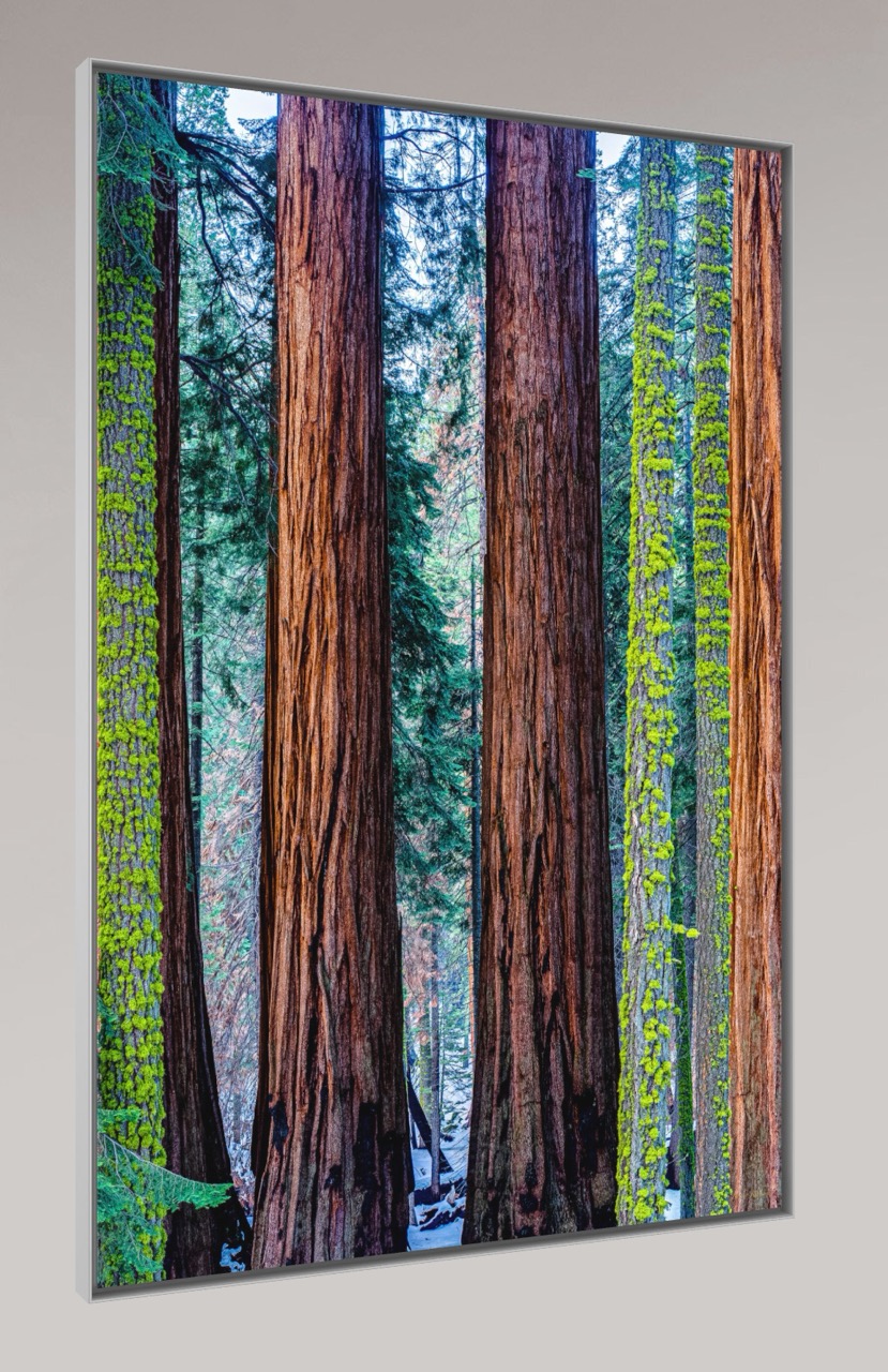 Capture D écran 2025 11 07 à 15.18   Grande.Jpeg