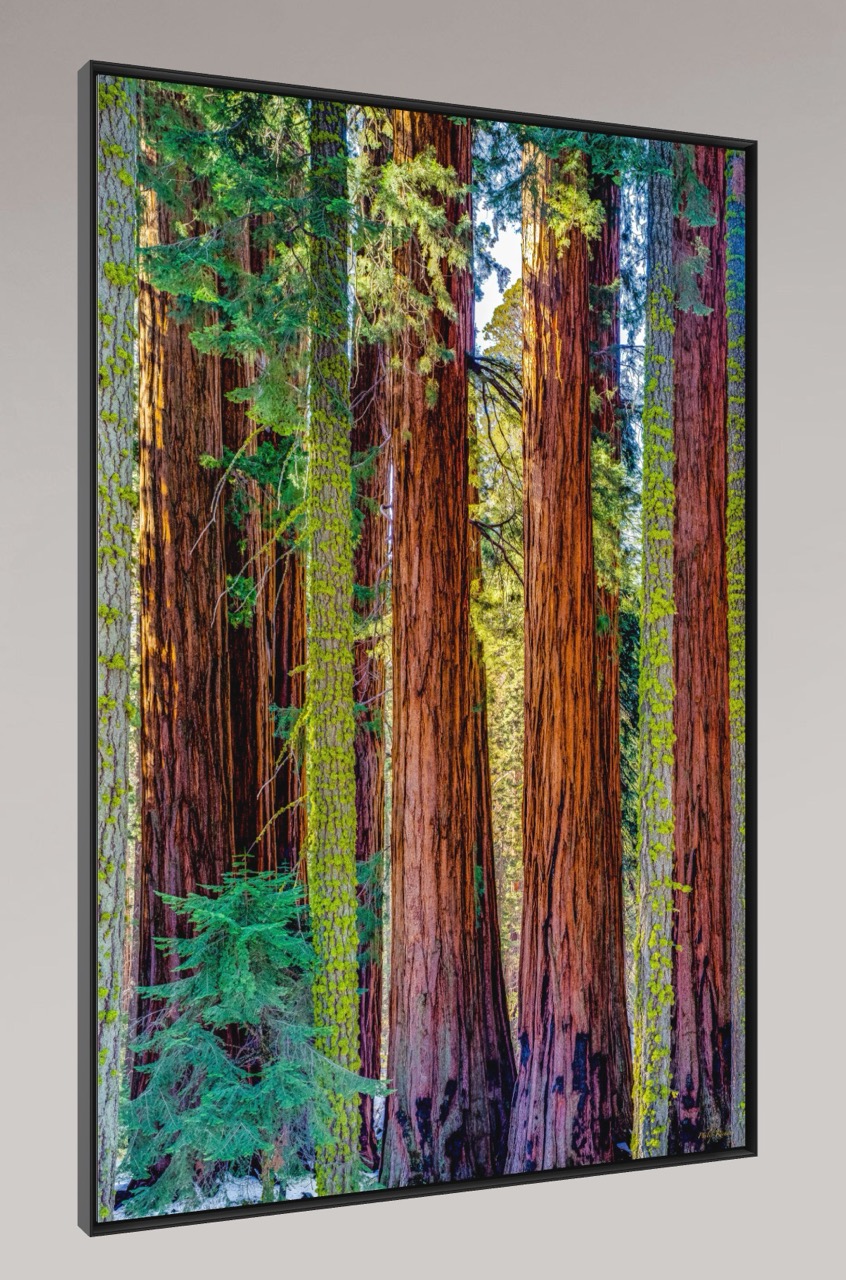 Capture D écran 2025 11 07 à 15.21   Grande.Jpeg