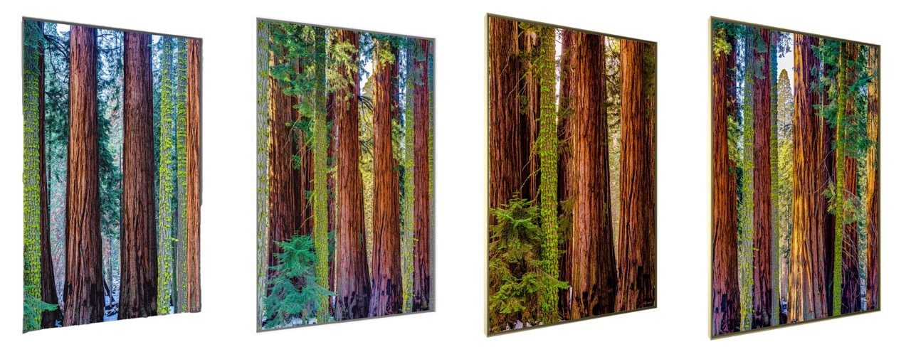 Série Spirit Of The Forest   Grande