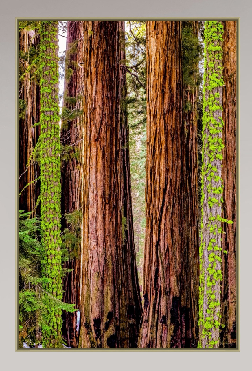 Capture D écran 2025 11 10 à 18.56   Grande.Jpeg