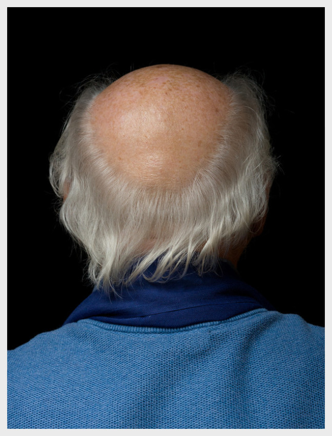 Trending Van Veen