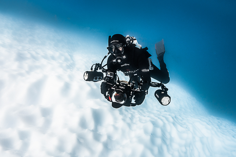 Greg Lecoeur Antarctica Diving