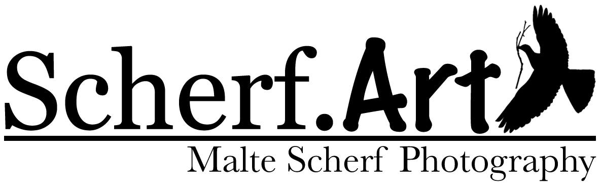 2026 Scherf Art Kopie 17