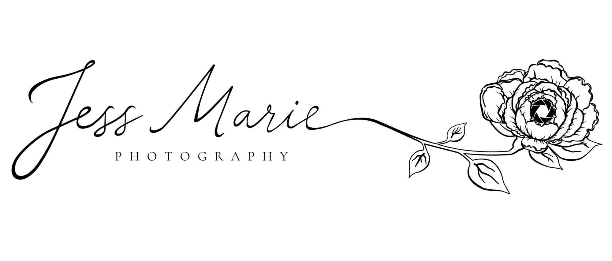 Signature Logo.Websitev3.Png